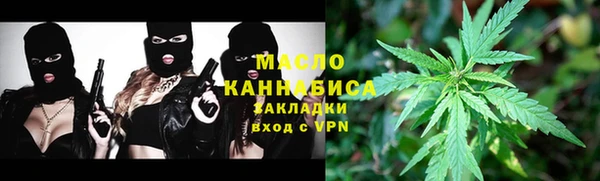 молекула духа Богданович