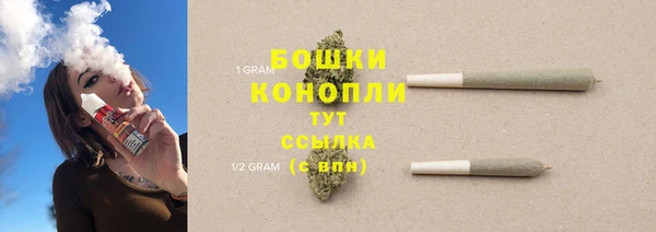 эйфоретик Белокуриха
