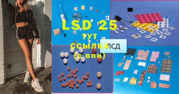 эйфоретик Белокуриха