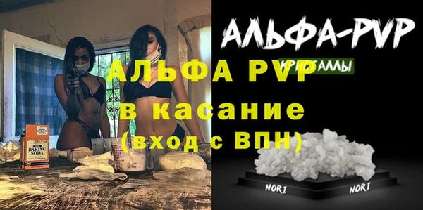 индика Белоозёрский