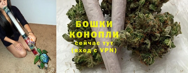 стаф Богородицк