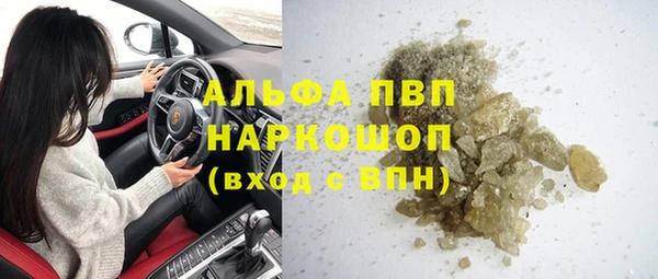 индика Белоозёрский