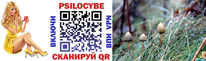 Галлюциногенные грибы GOLDEN TEACHER  Купить закладки  Отрадный 